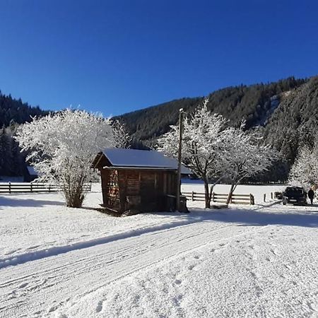 Ferienwohnung Peter Egger Гозау Экстерьер фото